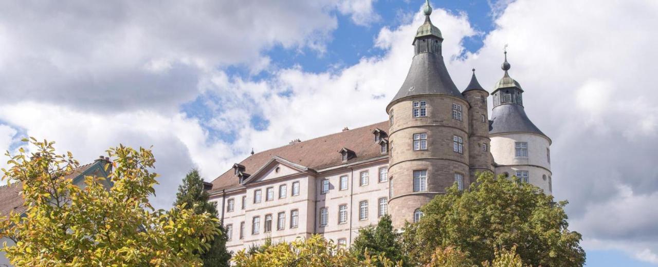 Appart'Hotel De La Gare - Cocooning Montbeliard Luaran gambar